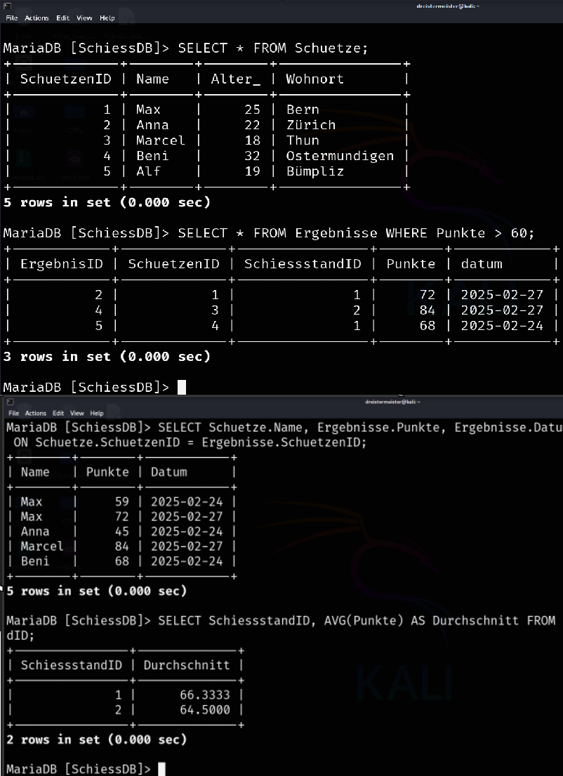 Screenshot von SQL-Abfragen